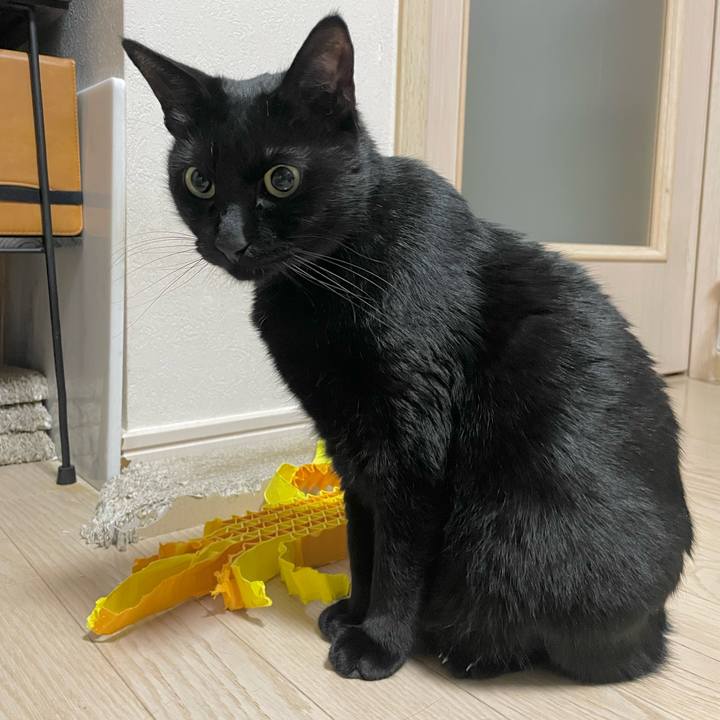 3160cac3 30a0 45ce 9b2f 76dd7d5f695a 1705409181550