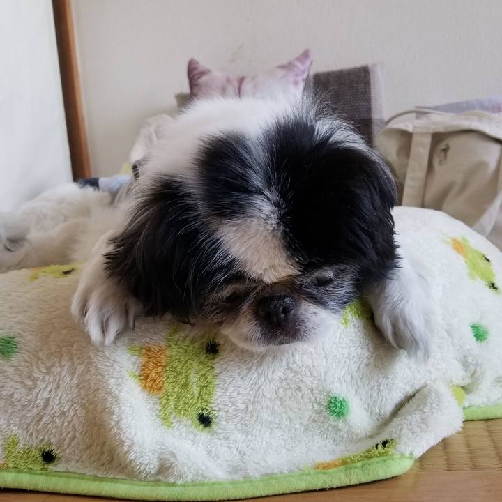 3160ddc9 4fdb 44e9 9bbe dbe6bd084225 1618225850467