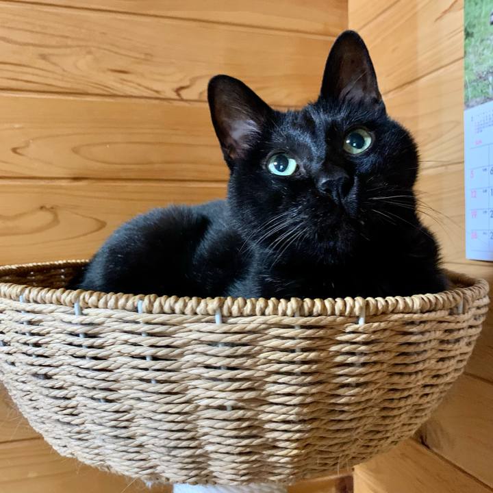 3160de34 cadb 4805 829d 4a6aad148271 1679876187653