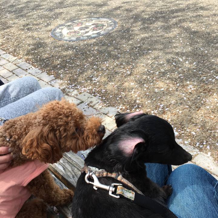 3160f73c 82a8 4e16 aa6c 1e2da1b3d4d2 1522707458528