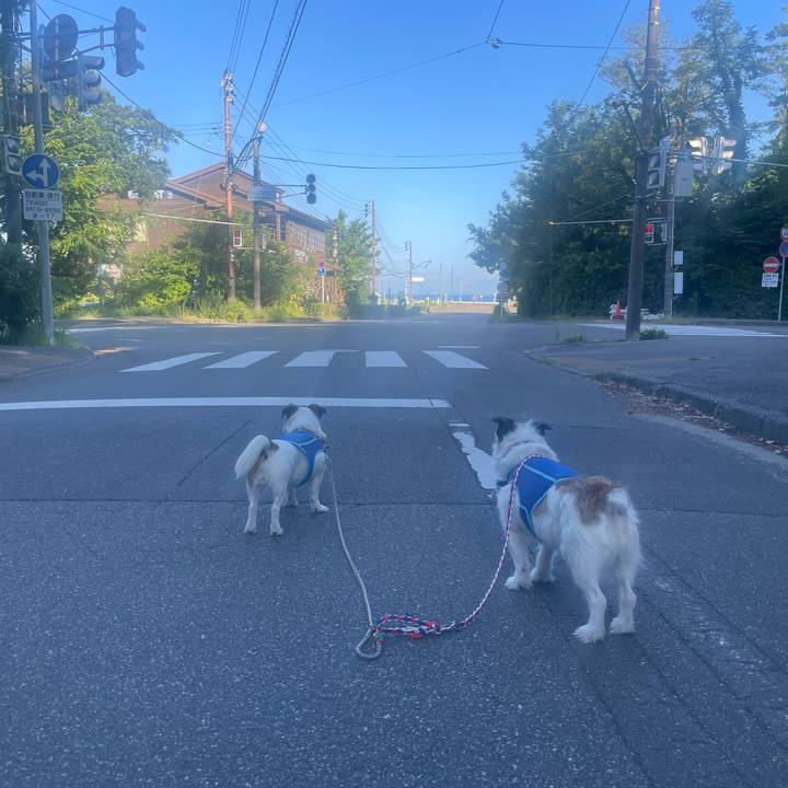 316101d5 edc4 4fc3 842e f0ecd115ca0b 1724024060734