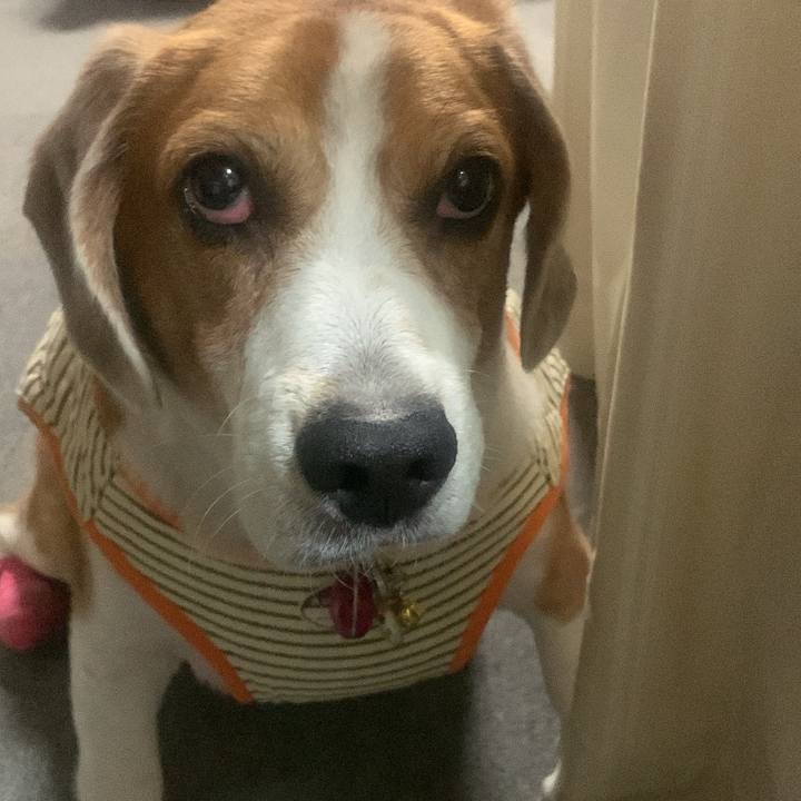 31611a19 549a 4a07 a5a0 15da966bf924 1729477086861