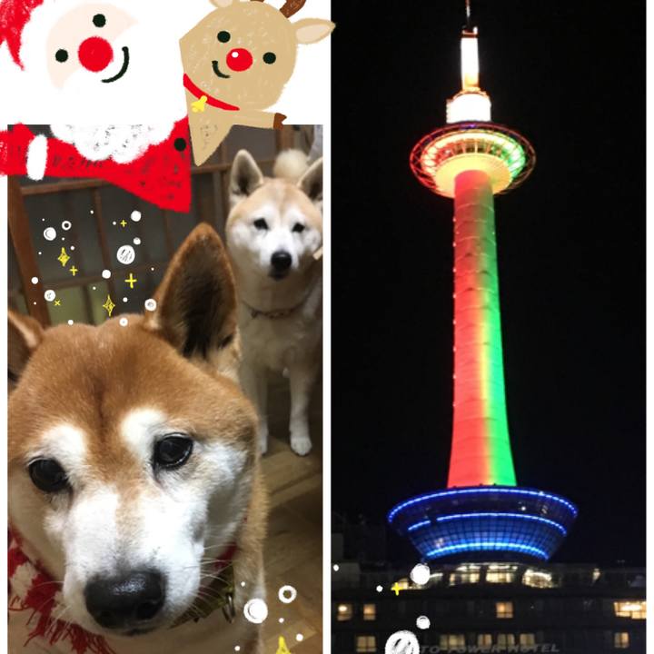 316130c3 ec37 4a71 b9ca 84361b536df9 1514202195740