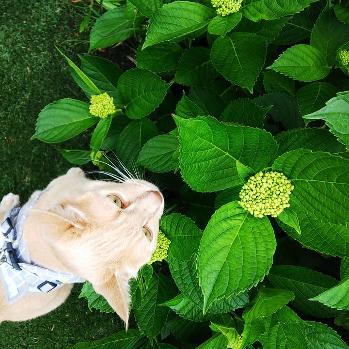 3161391e 2cbf 40bb a83f 2232ffeed0fb 1656222545655