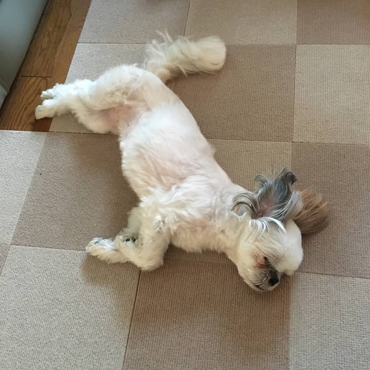 31614f68 e8f4 4c18 af62 a788888ca092 1597478243718