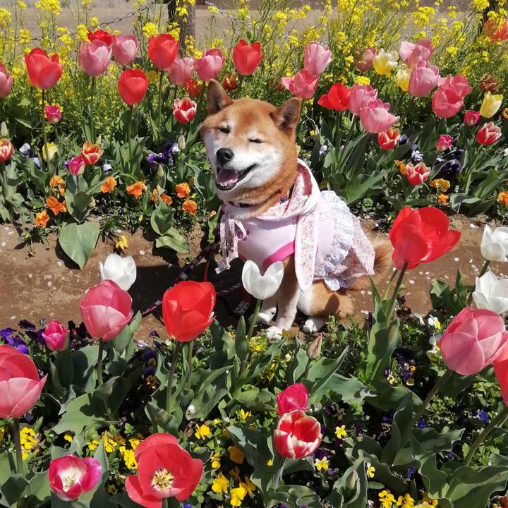 31617937 edf7 43db ad0d d711df4ec546 1649412532179