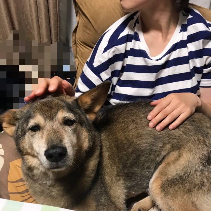 31618030 764f 4951 9bd8 416becc38a13 1559651396915