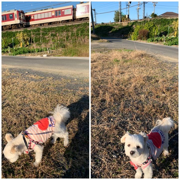 31618172 e650 4090 b6f6 bcd59a4a3bf5 1573026656921