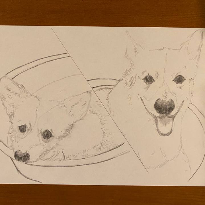 3161c4c6 4a8e 4ede 9a30 0fc9d5705b8c 1596289250861