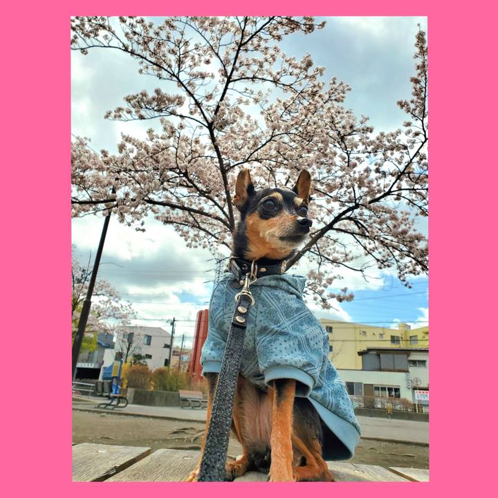 3161c709 901b 4a66 adc6 f30363a6e672 1743840292562