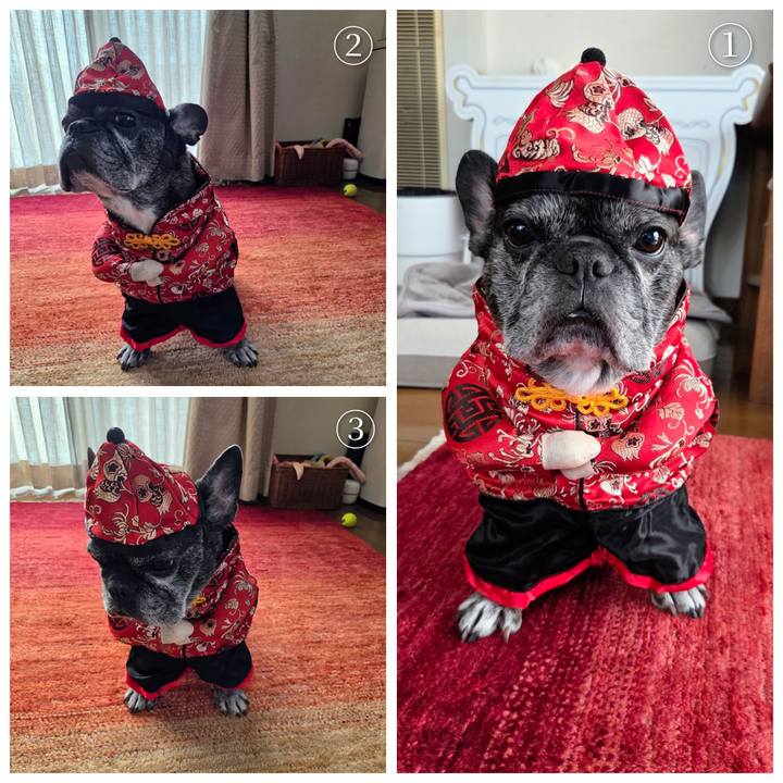 31623e64 e157 4003 83f7 7cc89e415fb2 1761873588235