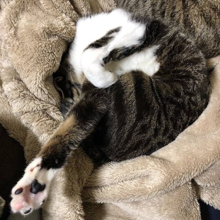 316297a1 88c7 470d b277 40c95da6e549 1515323131667