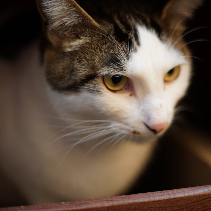 3162a31e 0eac 423b b003 eb19b74c0ba7 1517182131955