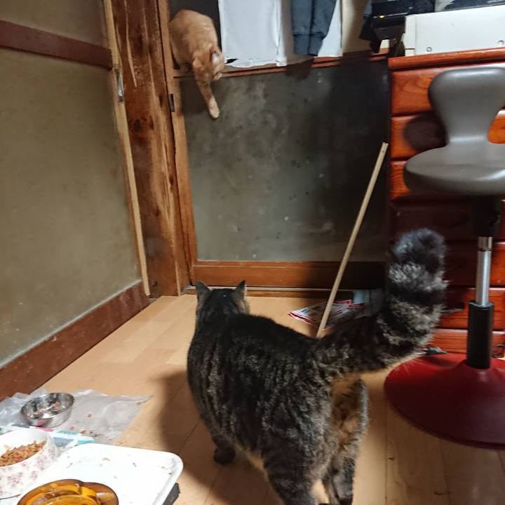 3162c0ac 15e1 425c 8884 8210788993a9 1637095828921