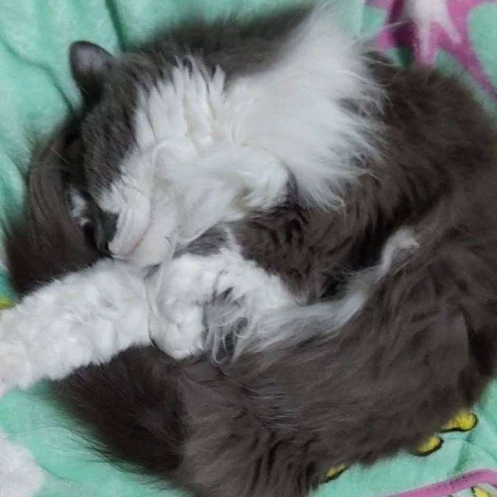 316336bd da56 4f40 838e d9ac30d1ceb1 1682592334112