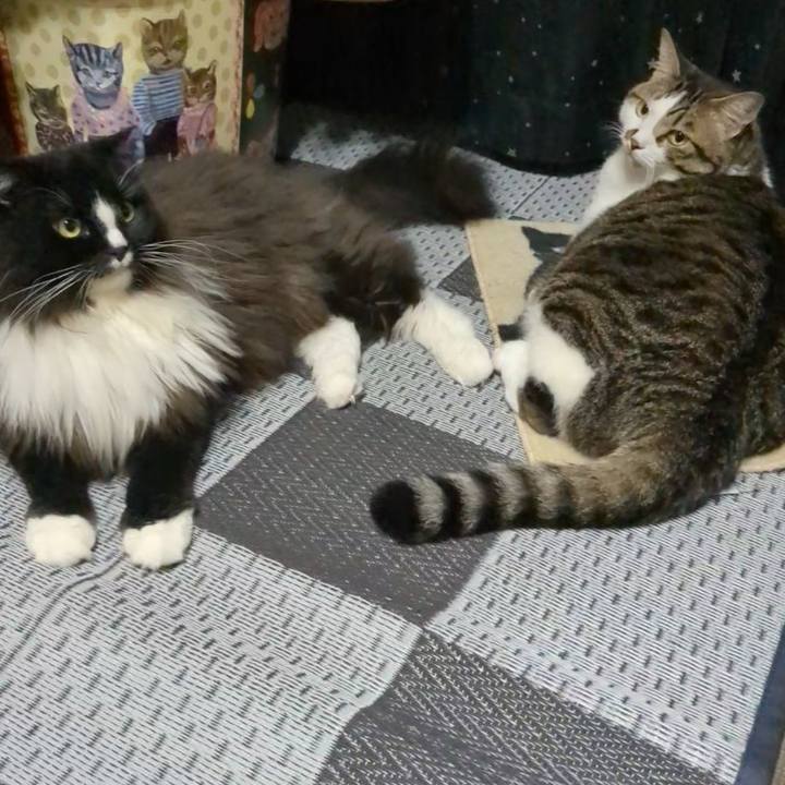 31634c7d be53 4eae aed1 e5636b09d15e 1725454599347