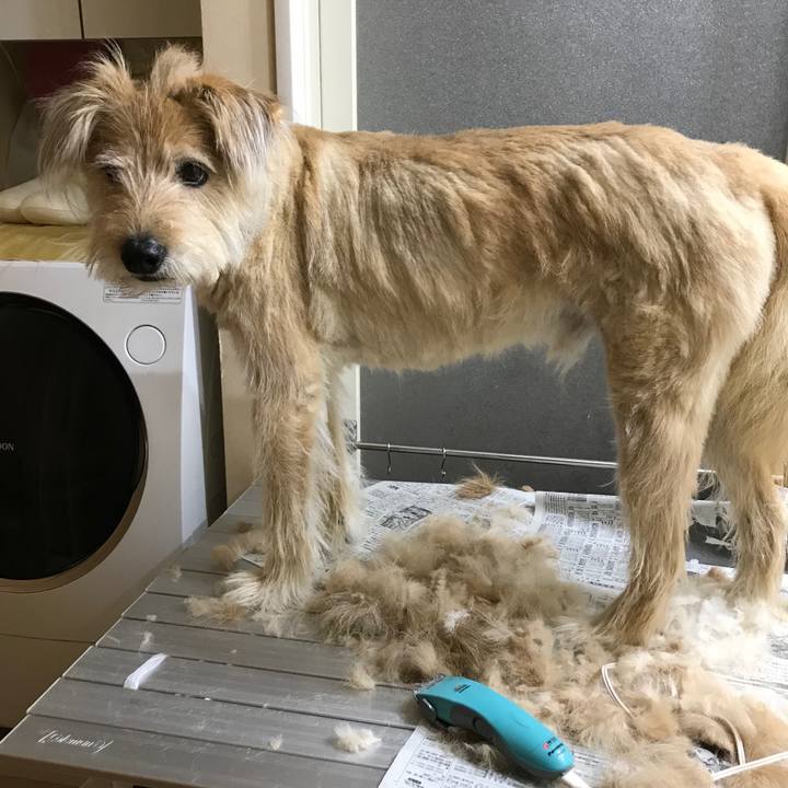 316371f5 3676 4979 b6db 3105241fc3bd 1530422708864