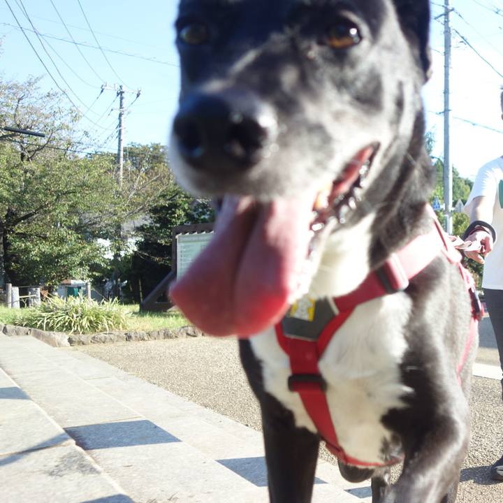 31637550 44f9 4435 8321 8741820ec222 1695081046213