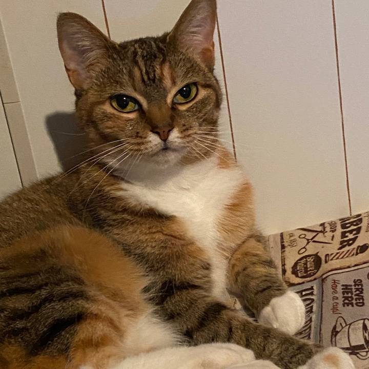 31638cdb d0ed 4091 8189 0ff382da86f0 1588244405591