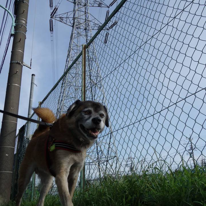 3163bfbd 8853 4ef8 bc65 921d01268737 1536718262997