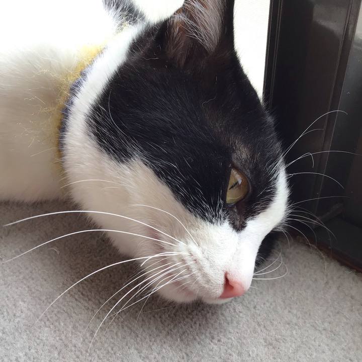 3163bfc7 1eb2 4664 93da 71b6f68555e6 1652328552375