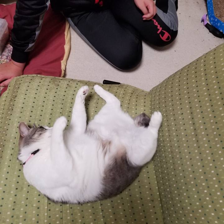 3164128a 8989 4be6 b8bb b58addd06a9b 1587973886746