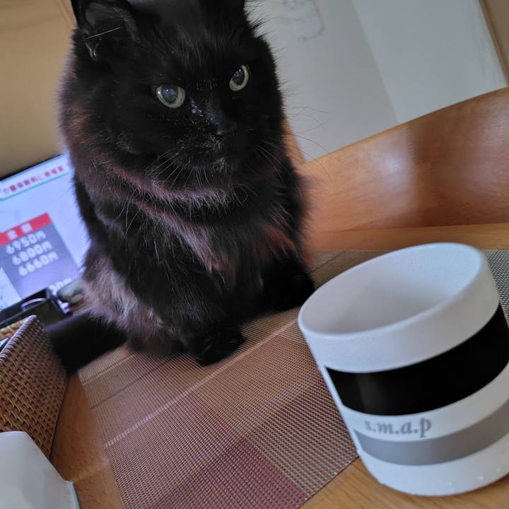 31641de2 4735 4317 81a9 5fd0c6a0a1cc 1715764759239