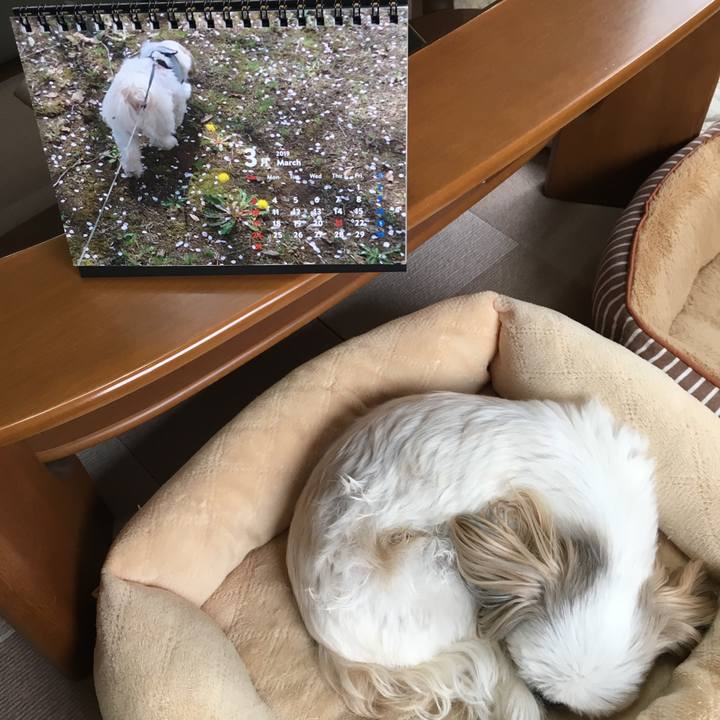 31641e23 99bd 4e36 b487 8d5e543338c3 1551397646691