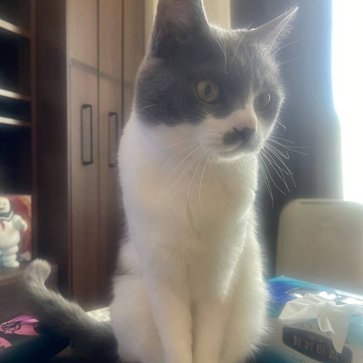 31644257 2f45 4043 b5d0 92493f6e361a 1651977439102