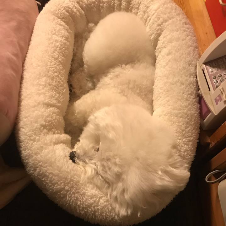 316478fd f4be 496b 8642 cdd05bbf385b 1576069005120