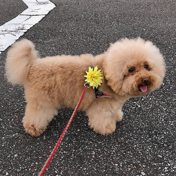 31649e06 f848 4cc1 8d28 8f6636578d51 1535332232250