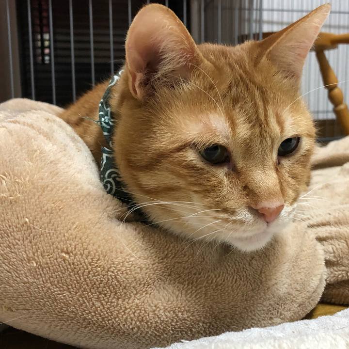 3164aba8 5bf8 4e17 a4fe fb20588c82f1 1580132122719