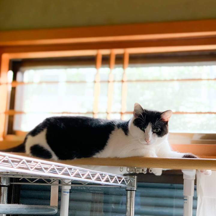 3164d55d 67dd 4ead 8769 1668acd00edb 1575514943229