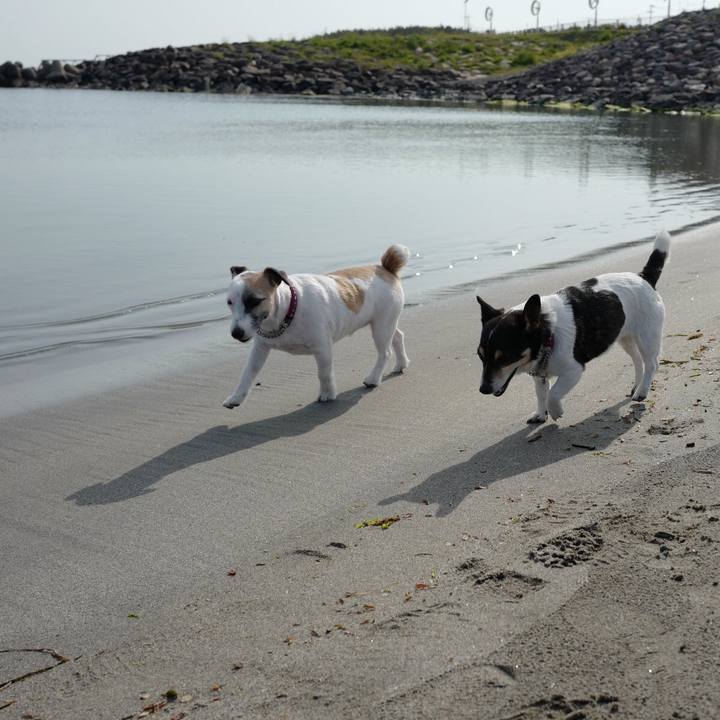 31650d85 d70d 4f40 8a63 4e286896a17e 1558066117647