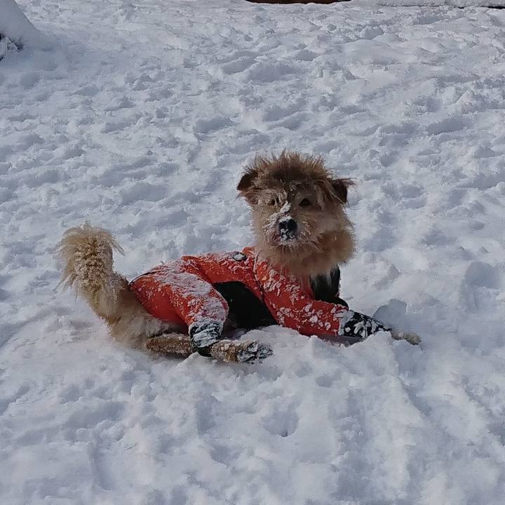 31653bec f5ac 42c5 b403 e1e5a7bccea2 1578215372440