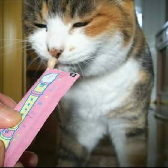 31655317 36d9 47b9 ae81 c5772191afee 1520377648321