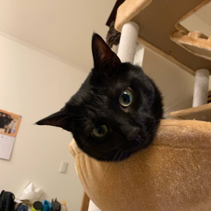 31655fe0 185d 4a8e b2bb 5e9a850efa23 1614169780414