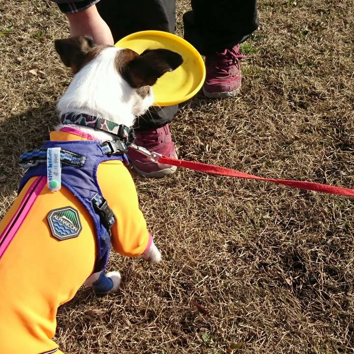 31659035 ecb9 4b70 93f6 f189018769fb 1546075406394