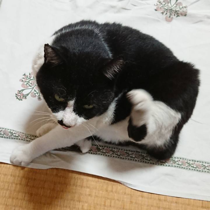 3165c3af eb1c 439e 889d 4134e8ff3f48 1624269391106