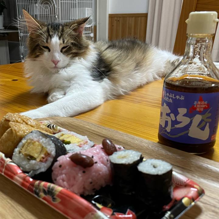 31662957 7377 4d60 8d94 d5716de84c87 1636798155214