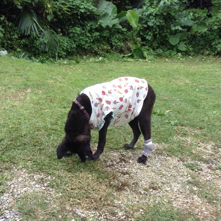 31667677 2e20 4a5b addd 597f975abe57 1513820054864