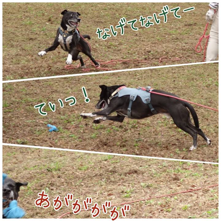 3166d7c0 b06c 4b31 88c8 f4319377f67f 1729901184652