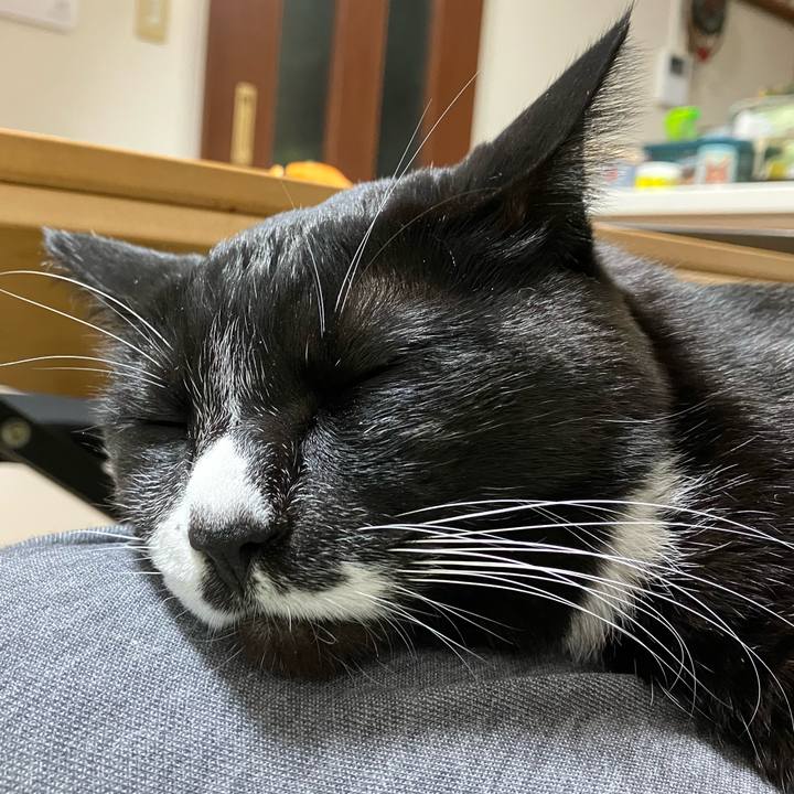 3166dae3 141b 4307 b66b 0ff51254cc3b 1769588164739