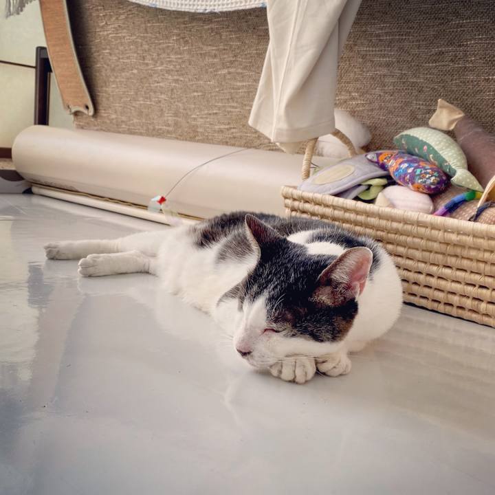 3166f583 5266 42b2 897b 977904a89ac1 1601599887822