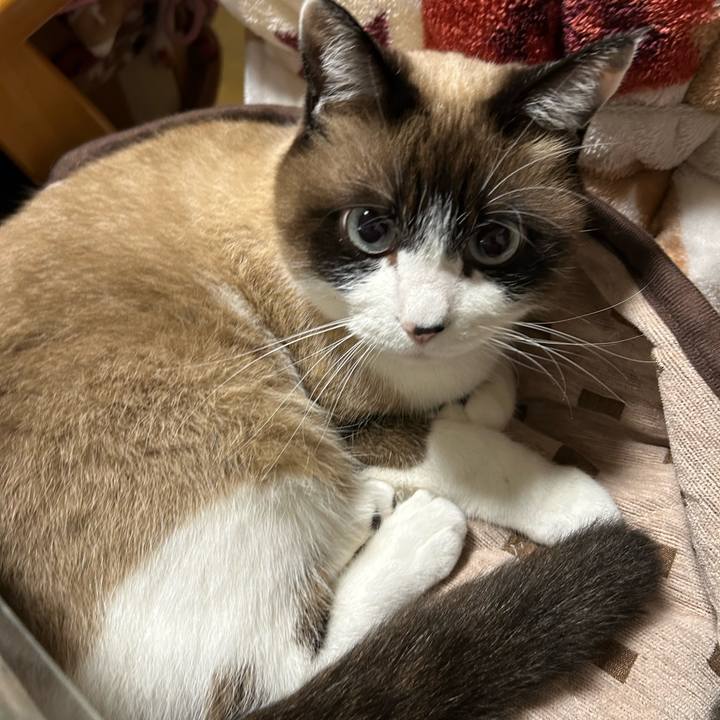 31670ecd 9fe5 428a 9194 570005d8114a 1764106720096