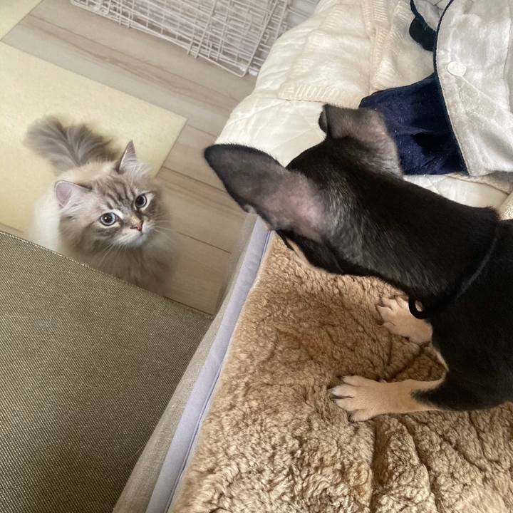 316714a5 831b 47e9 917d f12a14c550d8 1719123216291