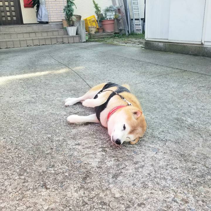 31672636 a3bd 4625 9c3a 5452b66df23d 1731717874819