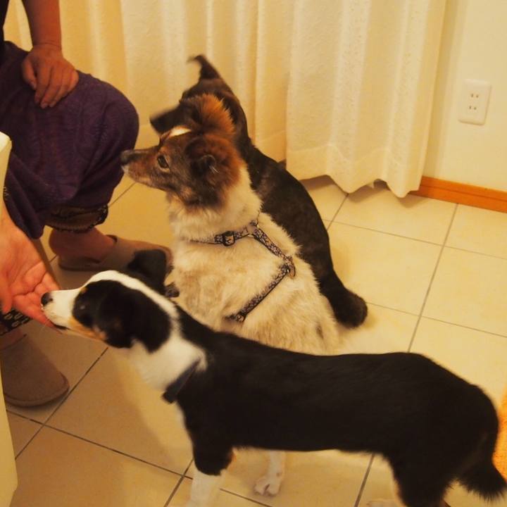 31674c26 ee74 4eda b30b 47a6b4d890e2 1563370241215