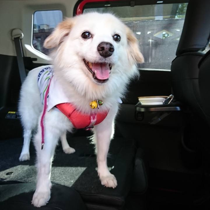 316761e0 2589 4e62 9529 1c434926f979 1637984934392