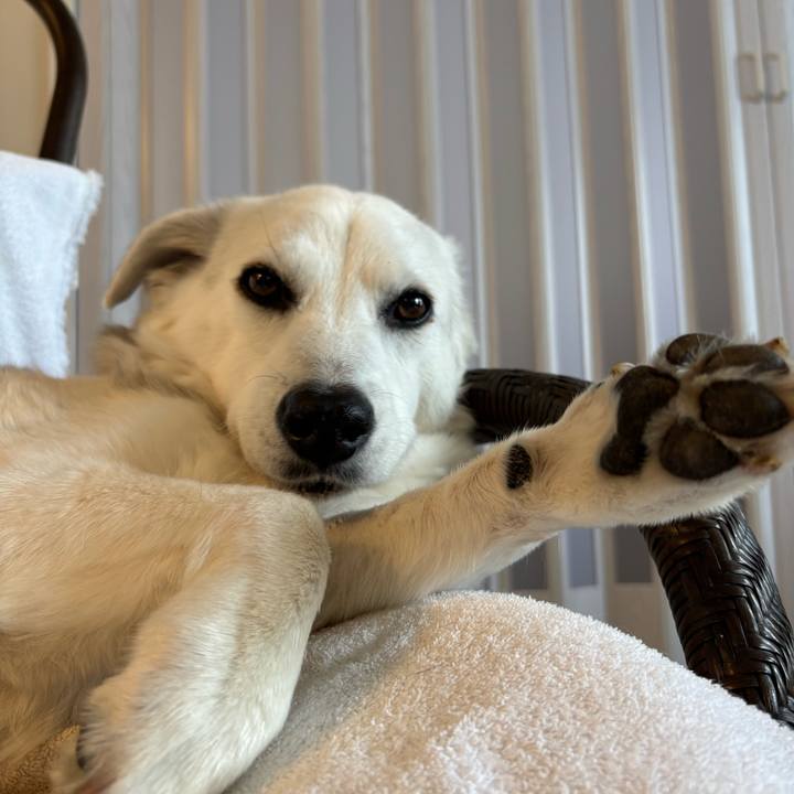 31678969 8c5e 4375 9c84 27eaf400e00b 1774951821532